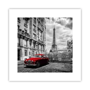 Plakát - Dravec ve městě - 30x30 cm