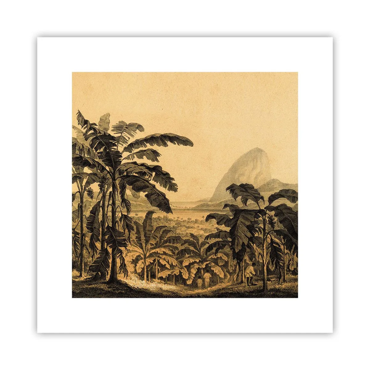 Plakát - V koloniálním stylu - 30x30 cm