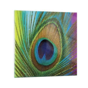 Obraz na skle - Tváří v tvář - 60x60 cm
