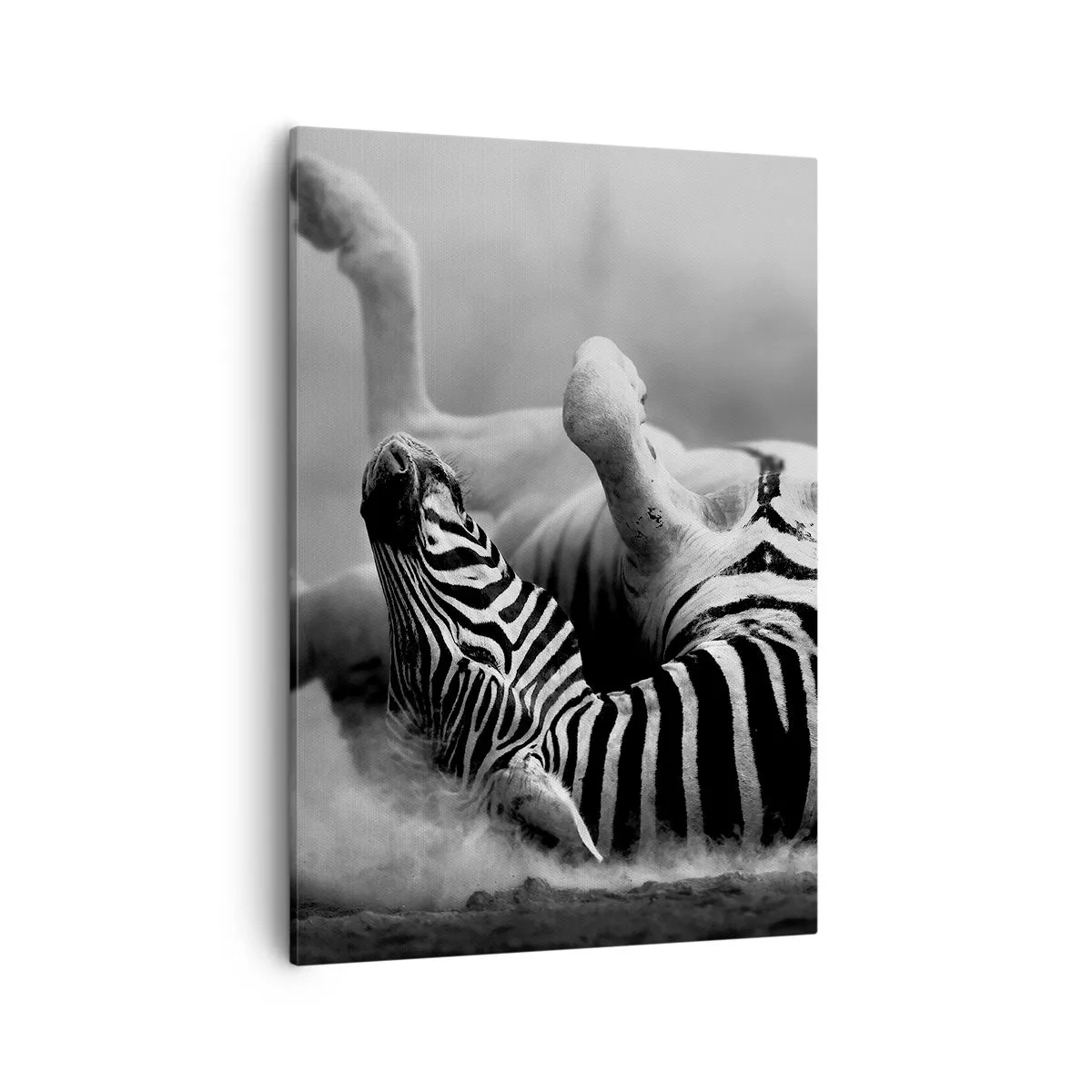 Obraz na plátně - Je to k popukání - 50x70 cm