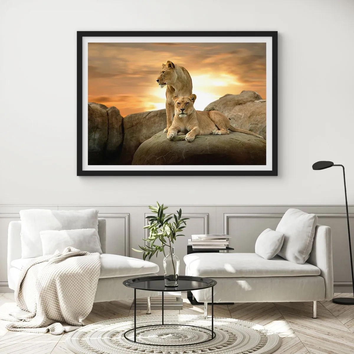 Plakát v černém rámu - Královský majestát - 100x70 cm