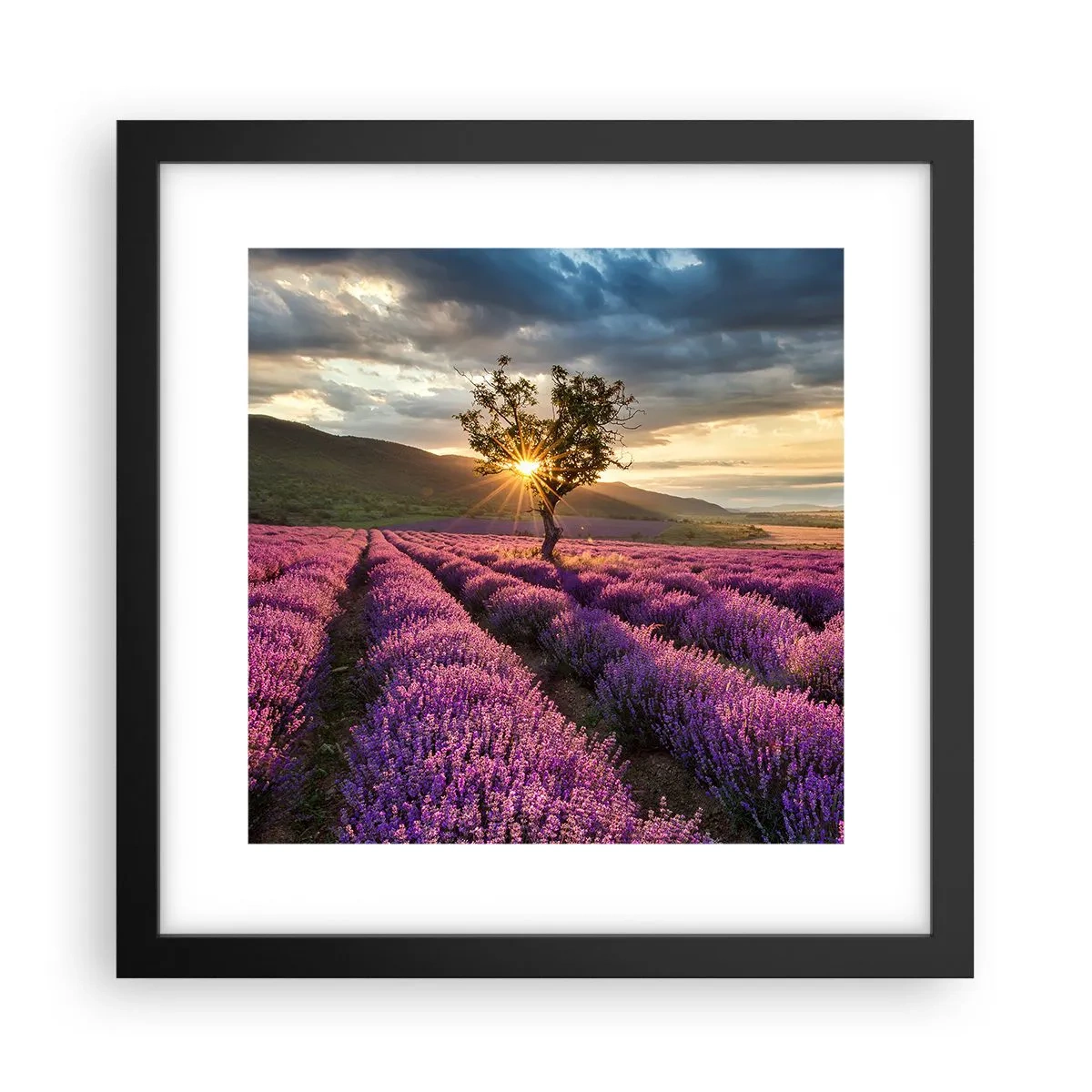 Plakát v černém rámu - Aroma v barvě lila - 30x30 cm
