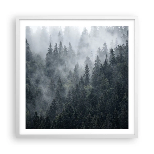 Plakát v bílém rámu - Lesní svítání - 60x60 cm