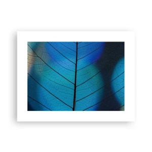 Plakát - Až do detailů - 40x30 cm