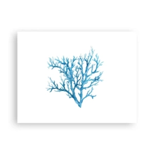 Plakát - Mořský filigrán - 40x30 cm
