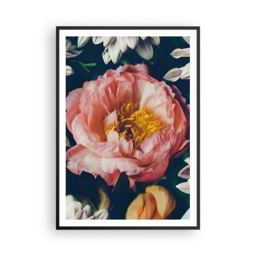 Plakát v černém rámu - S barokním přepychem - 70x100 cm