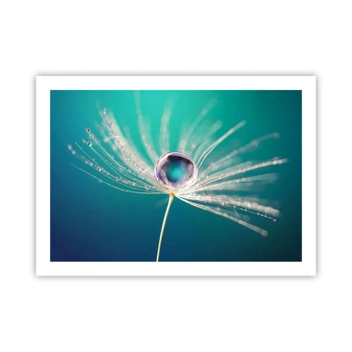 Plakát - Mystický okamžik - 70x50 cm