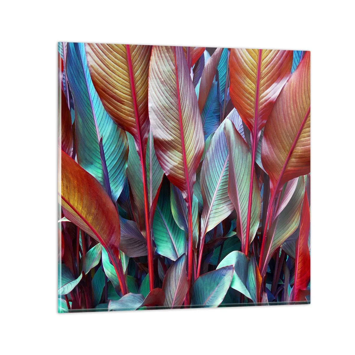 Obraz na skle - Barevná houština - 60x60 cm