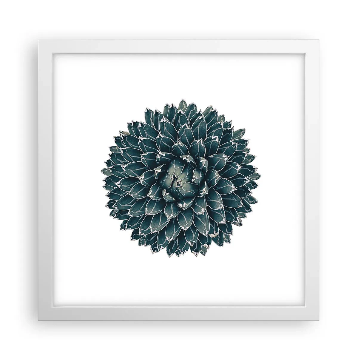 Plakát v bílém rámu - Hvězda pouště - 30x30 cm