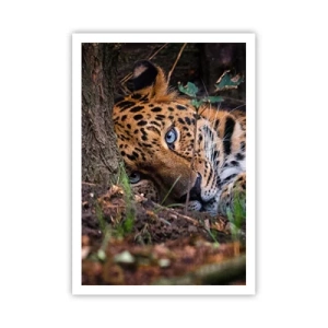 Plakát - Věř mi - 70x100 cm