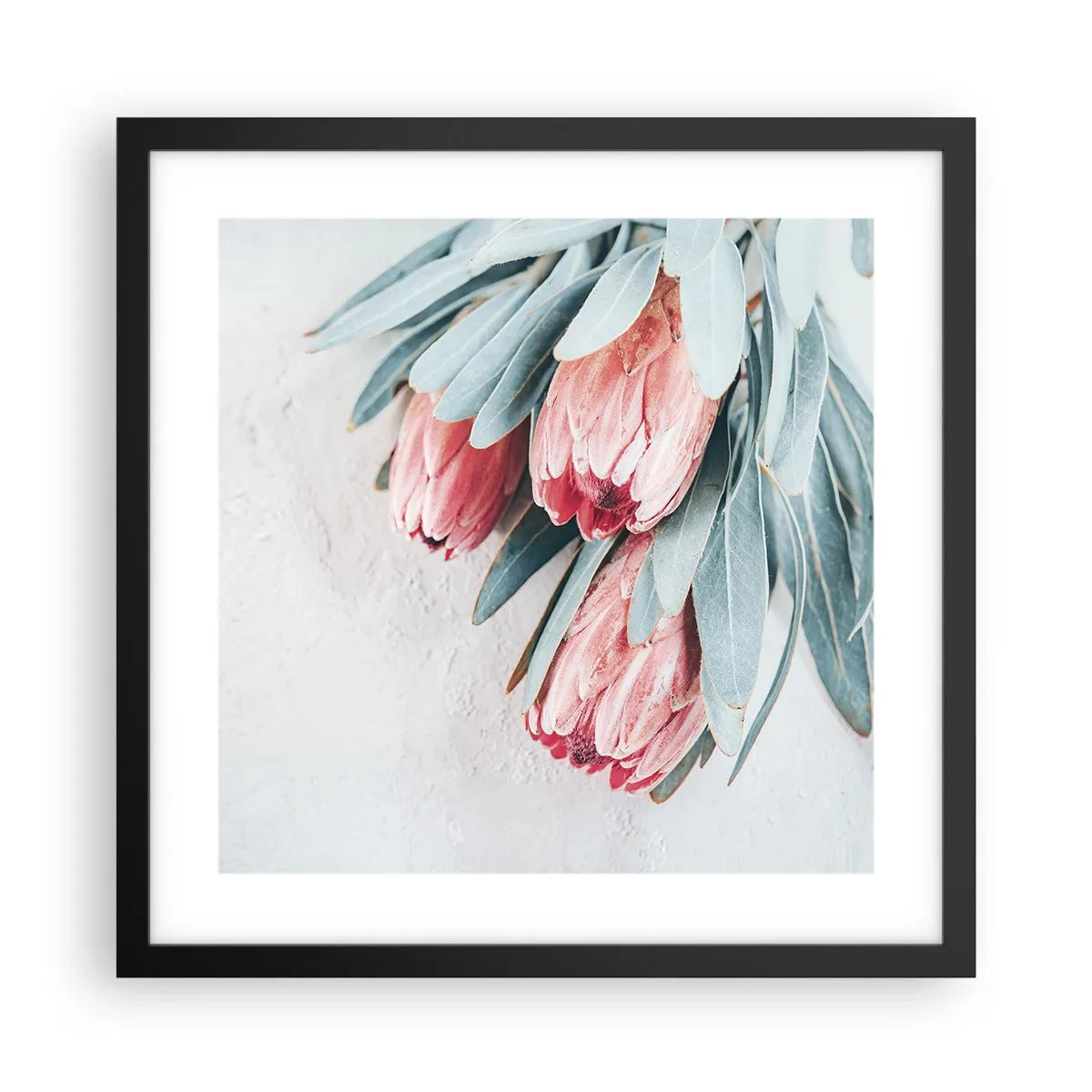 Plakát v černém rámu - Zahanbené svou vlastní krásou - 40x40 cm