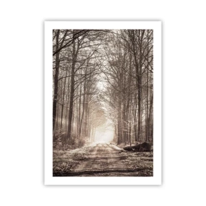 Plakát - Lesní katedrála - 50x70 cm