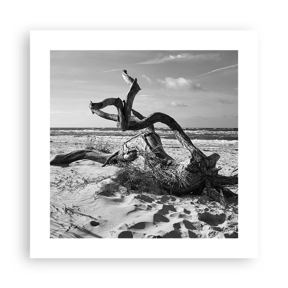 Plakát - Mořská socha - 40x40 cm