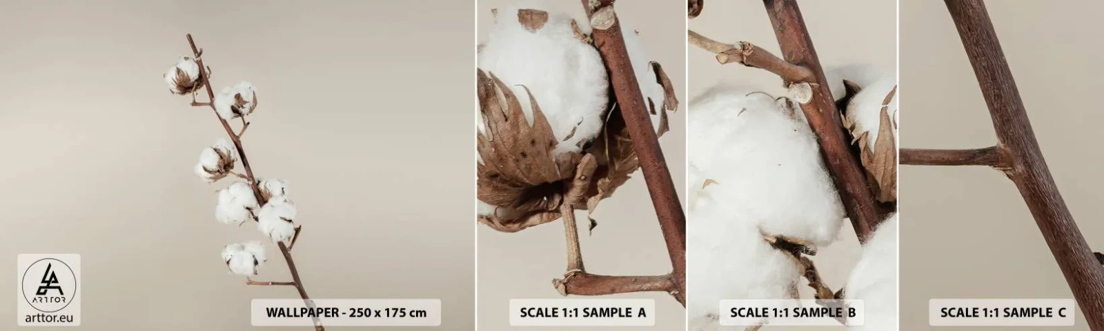 Fototapeta Vzorek Standard Eco - U zdroje měkkosti - Bavlněný květ, Příroda, Bavlna - 100x30 cm