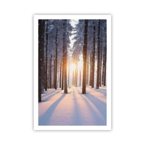 Plakát - Jasně černé na bílém - 61x91 cm