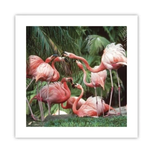 Plakát - Odpolední drby - 40x40 cm