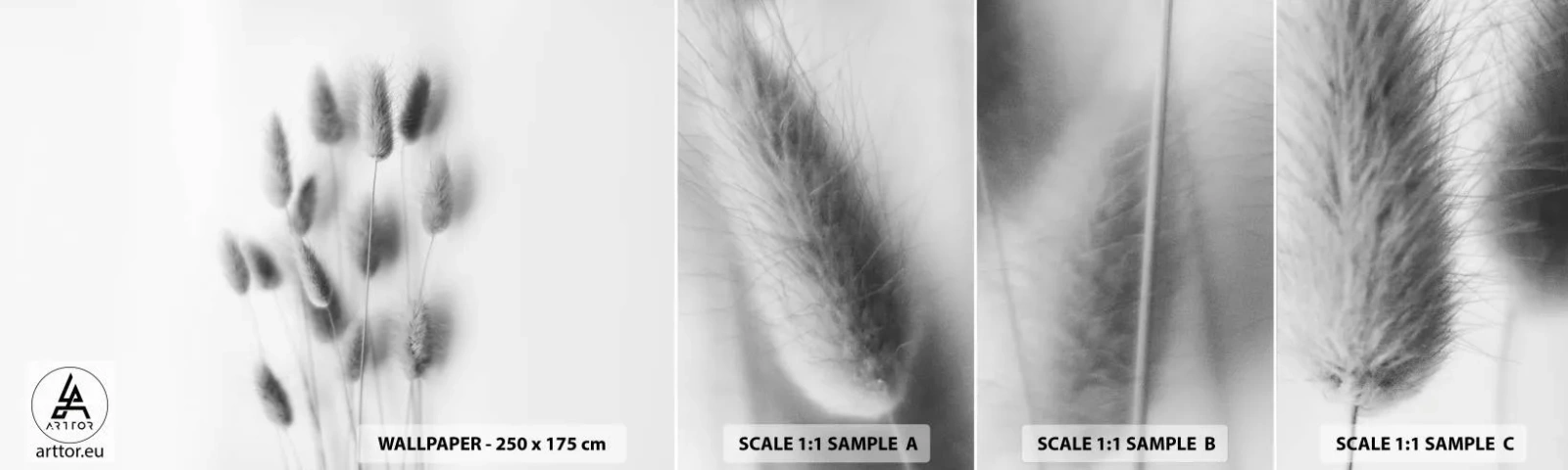 Vzor Fototapety Samolepicí Deluxe Sticker - Její načechranost tráva - Tráva, Černý a bílý, Květiny - 100x30 cm