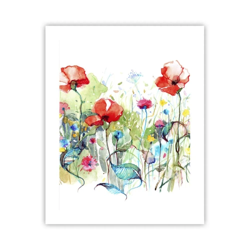 Plakát - Kvetoucí louka v květnu - 40x50 cm