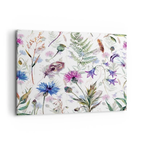 Obraz na plátně - Polský herbář - 120x80 cm