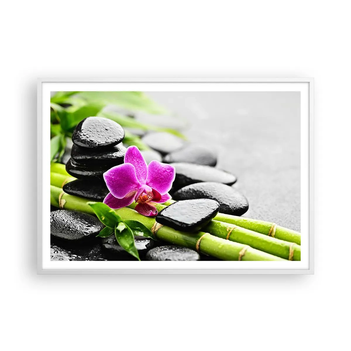 Plakát v bílém rámu - V klidné rovnováze - 100x70 cm