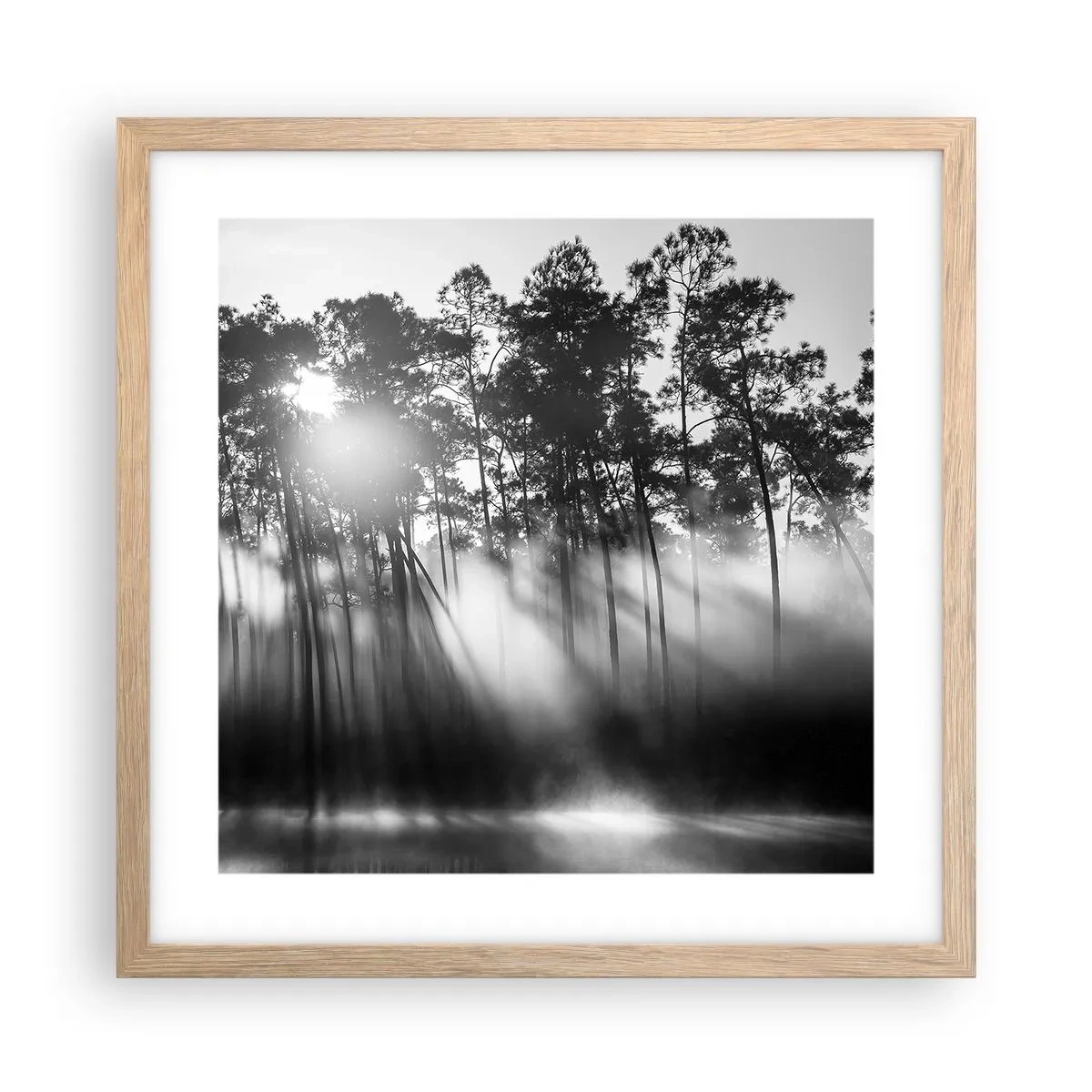 Plakát v rámu světlý dub - Nezastavitelné slunce - 40x40 cm