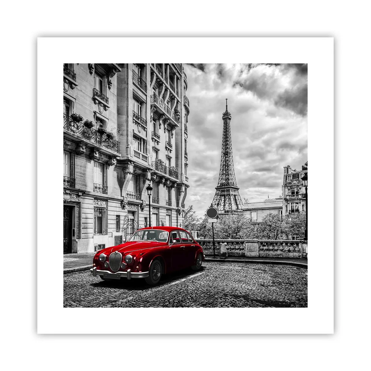 Plakát - Dravec ve městě - 40x40 cm