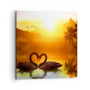 Obraz na plátně - Všechno do páru - 70x70 cm