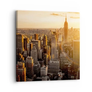 Obraz na plátně - Růst na slunci - 30x30 cm