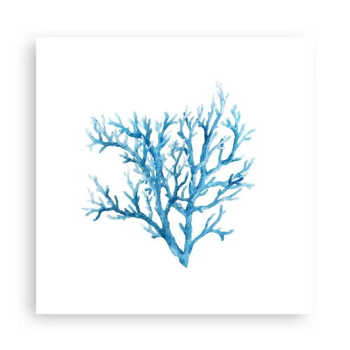 Plakát - Mořský filigrán - 30x30 cm