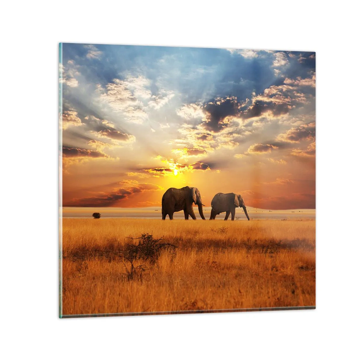 Obraz na skle - Rodinná procházka - 50x50 cm