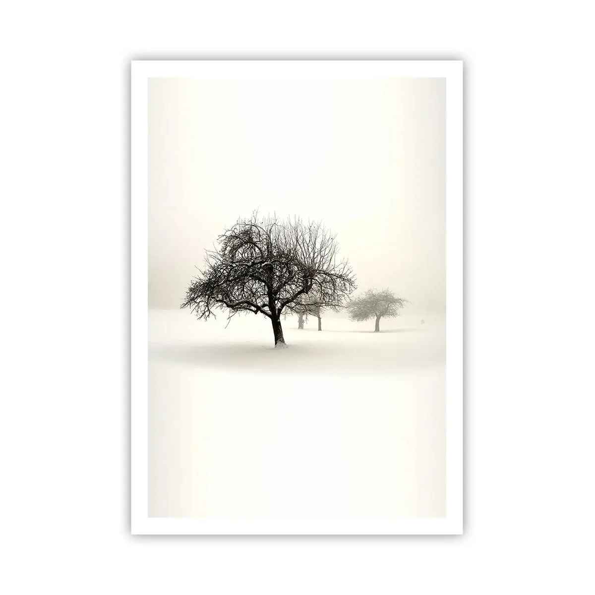 Plakát - Zimní sen - 70x100 cm