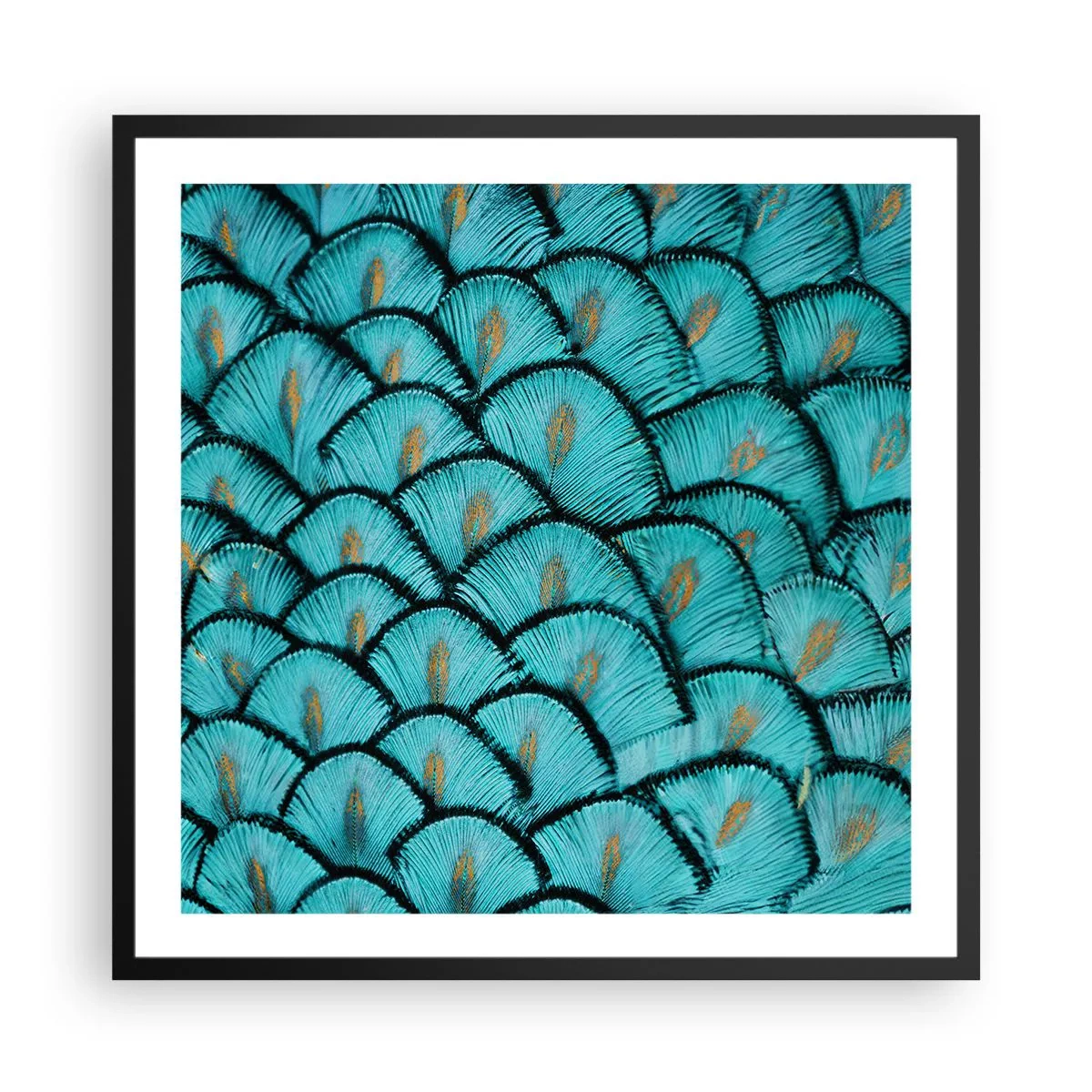 Plakát v černém rámu - Velká slavnost peří - 60x60 cm