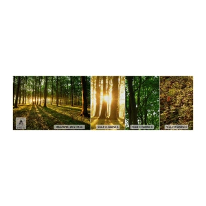 Vzor Fototapety Premium Canvas - Fotografie všech jar - Krajina, Les, Příroda - 100x30 cm