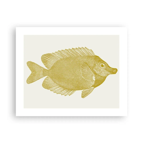Plakát - Prostě ryba - 50x40 cm
