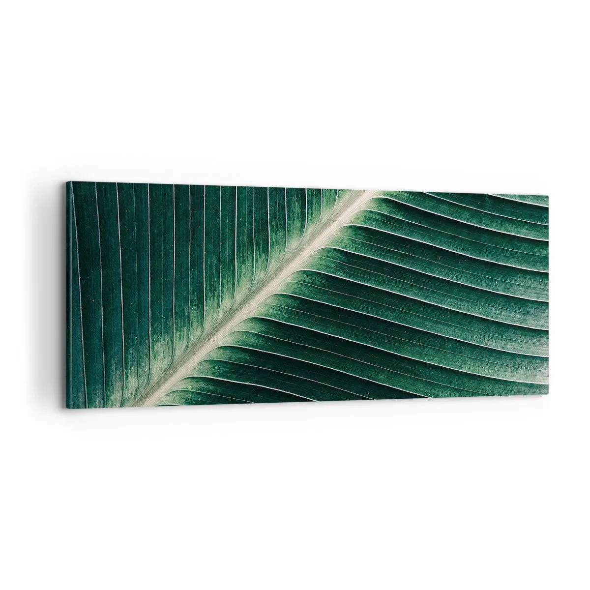 Obraz na plátně - Rytmus přírody - 100x40 cm