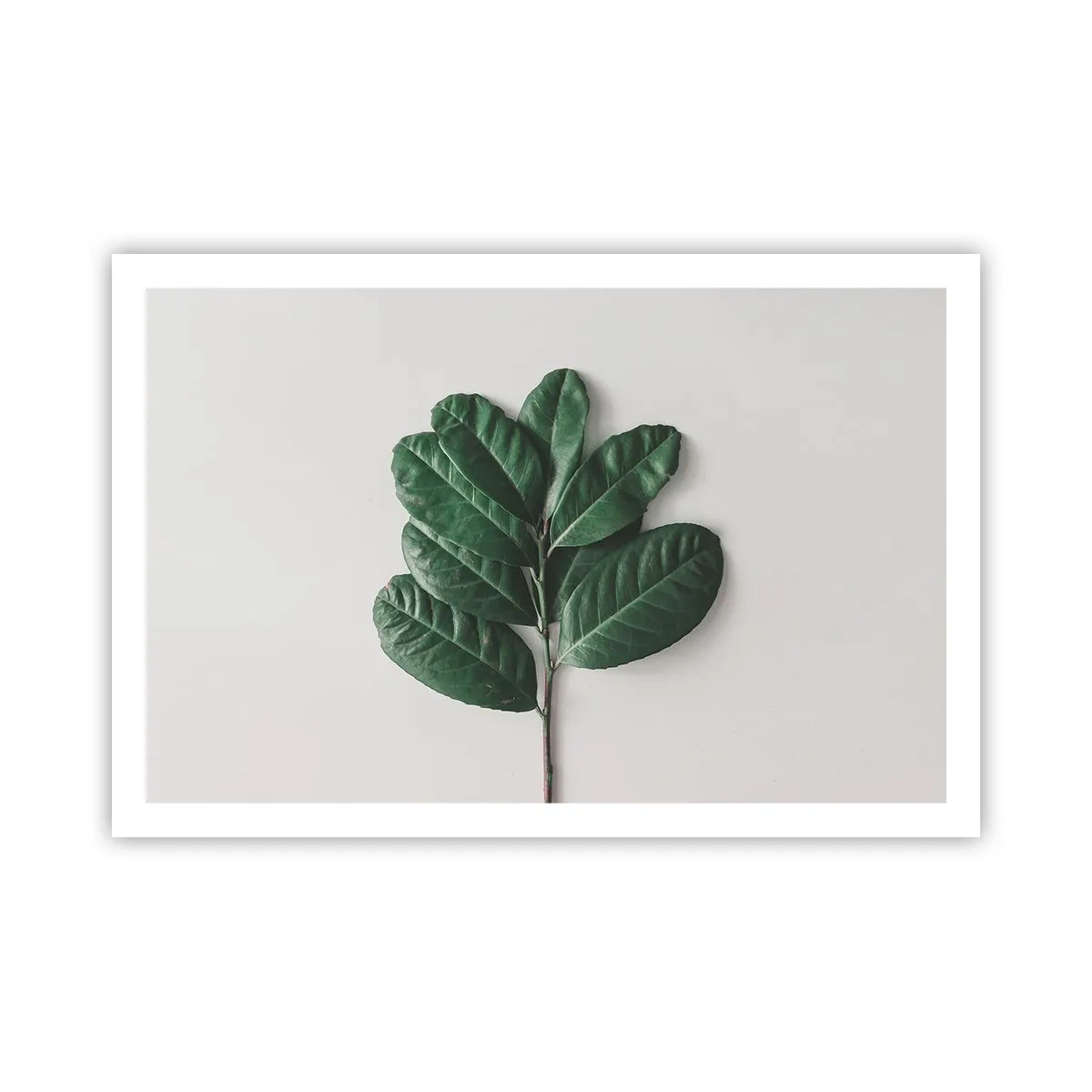 Plakát - Kresba samotné přírody - 91x61 cm