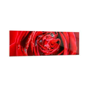 Obraz na skle - V kapkách rosy - 160x50 cm