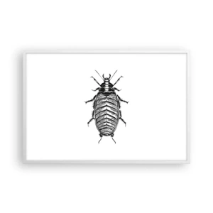 Plakát v bílém rámu - Vzorový exemplář! - 91x61 cm