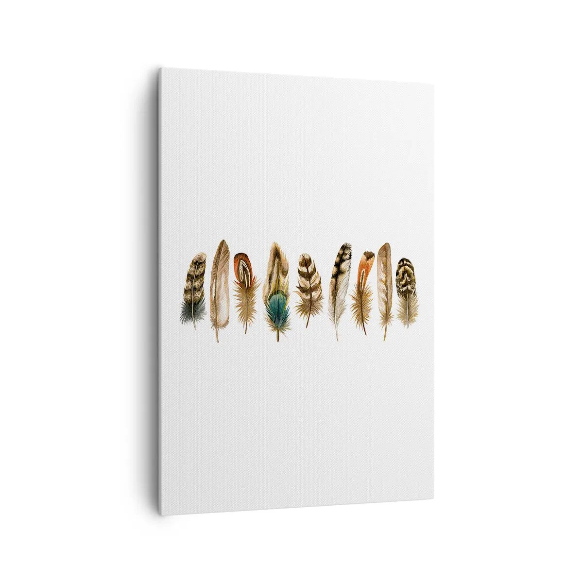 Obraz na plátně - Opeřená variace - 70x100 cm