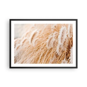Plakát v černém rámu - Zlaté šustění travin - 70x50 cm