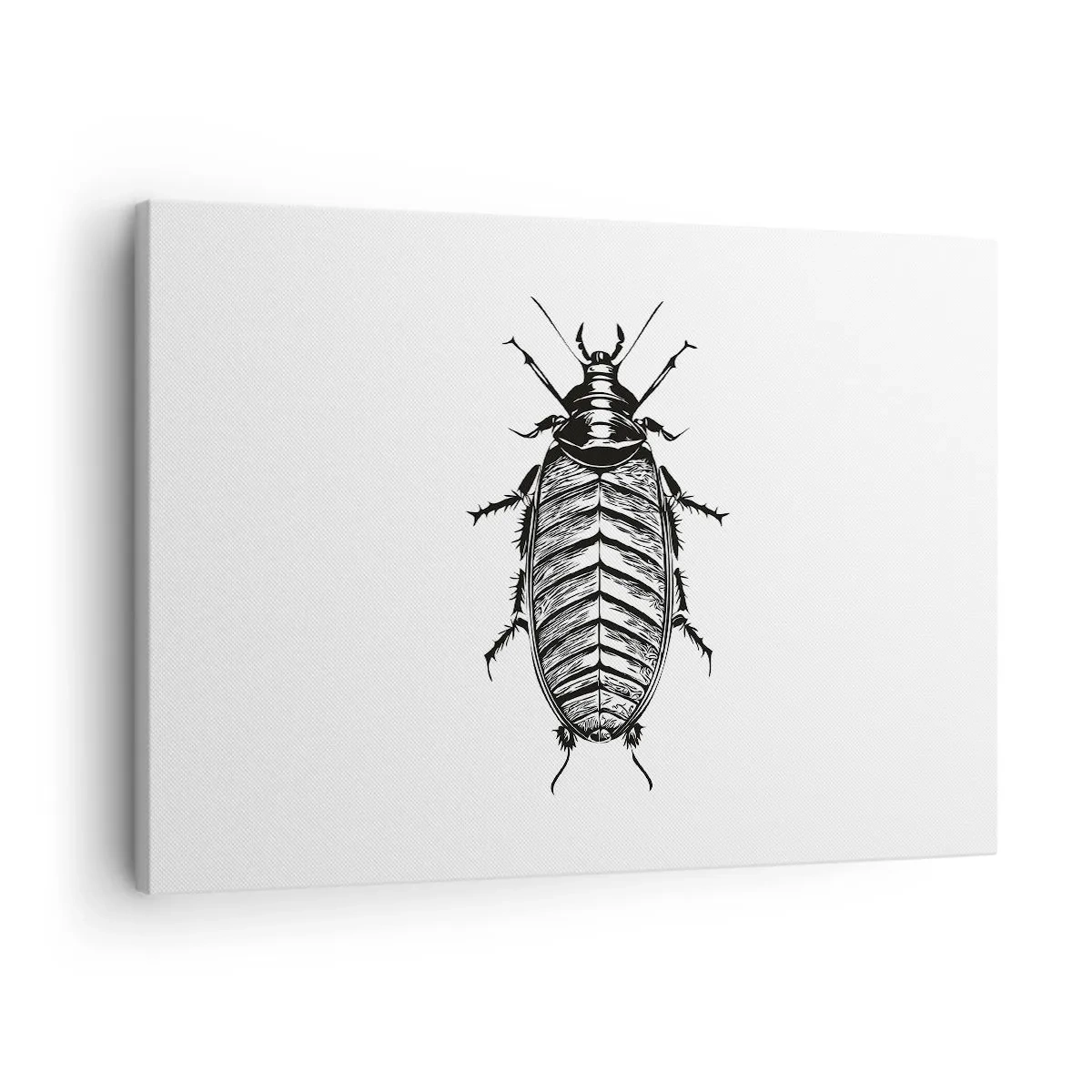 Obraz na plátně - Grafika černobílého hmyzu na bílém pozadí - 70x50cm - Vzorový exemplář! - Moderní nástěnná dekorace do obývacího pokoje a ložnice ARTTOR