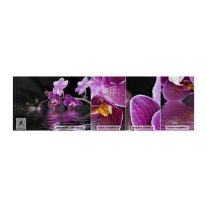 Vzor Fototapety Samolepicí Deluxe Sticker - Liliový odraz krásy - Květiny, Orchidej, Příroda - 100x30 cm