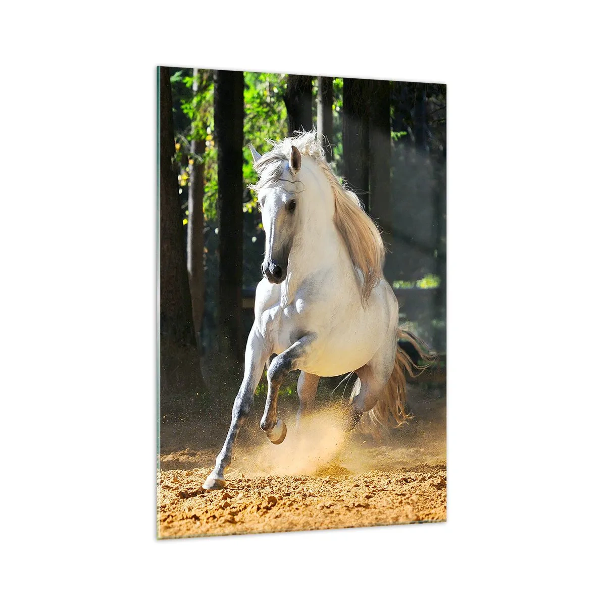 Obraz na skle - Jako z fantasy románu - 70x100 cm