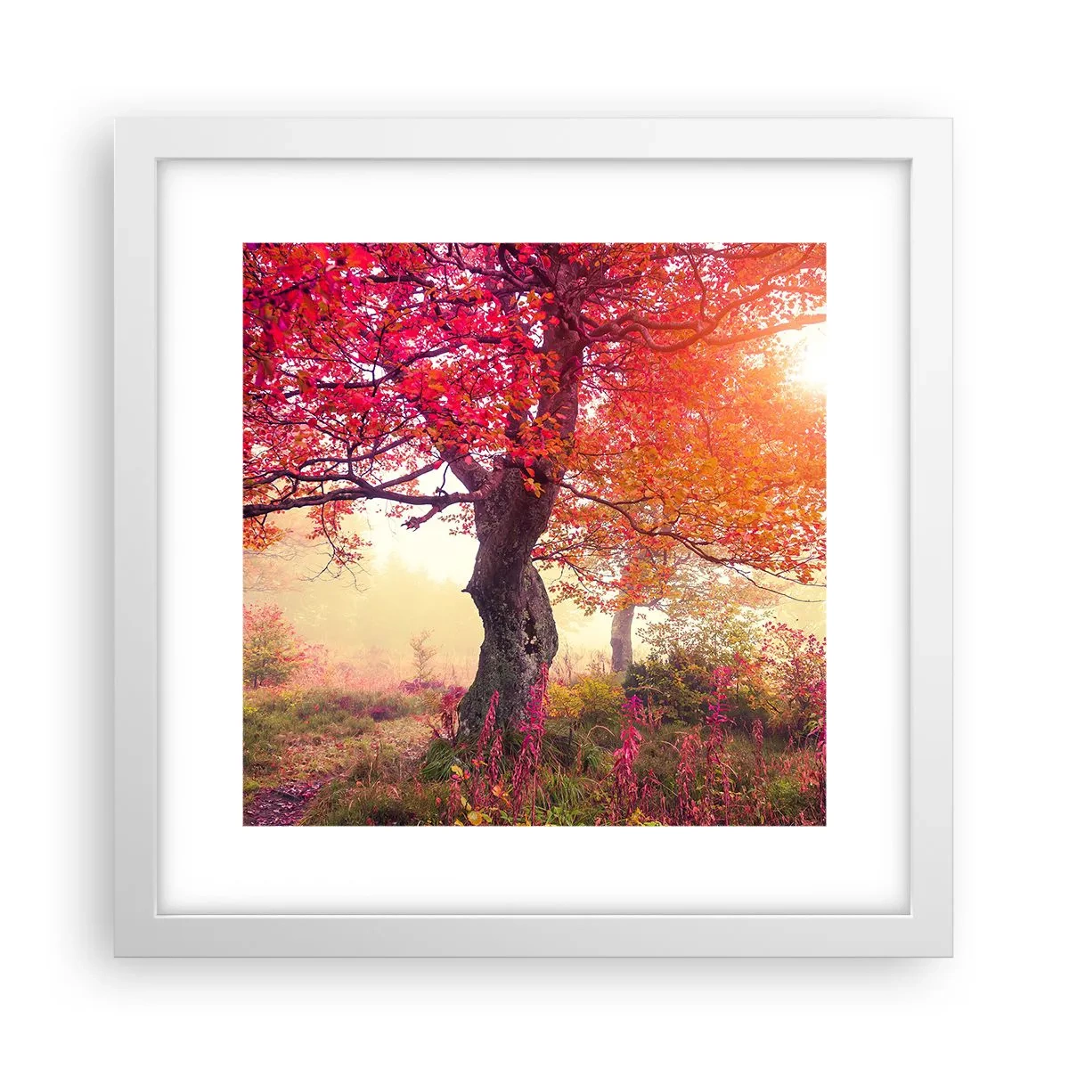 Plakát v bílém rámu - Šílenství rozkvětu - 30x30 cm