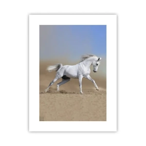 Plakát - Nejkrásnější arabská pohádka - 30x40 cm