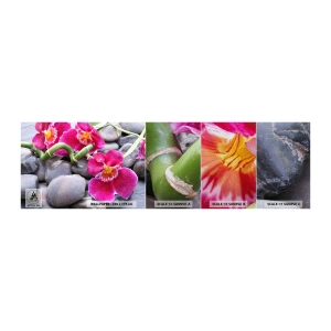 Vzor Fototapety Premium Sand - Chlad a žár - Květiny, Kameny, Orchidej - 100x30 cm