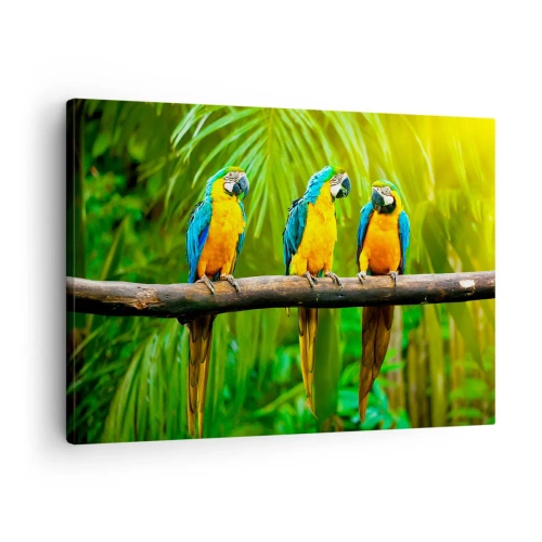 Obraz na plátně - Tři barevní papoušci na pozadí tropické zeleně - 70x50cm - Slyšela jsi, že ona…? - Moderní nástěnná dekorace do obývacího pokoje a ložnice ARTTOR