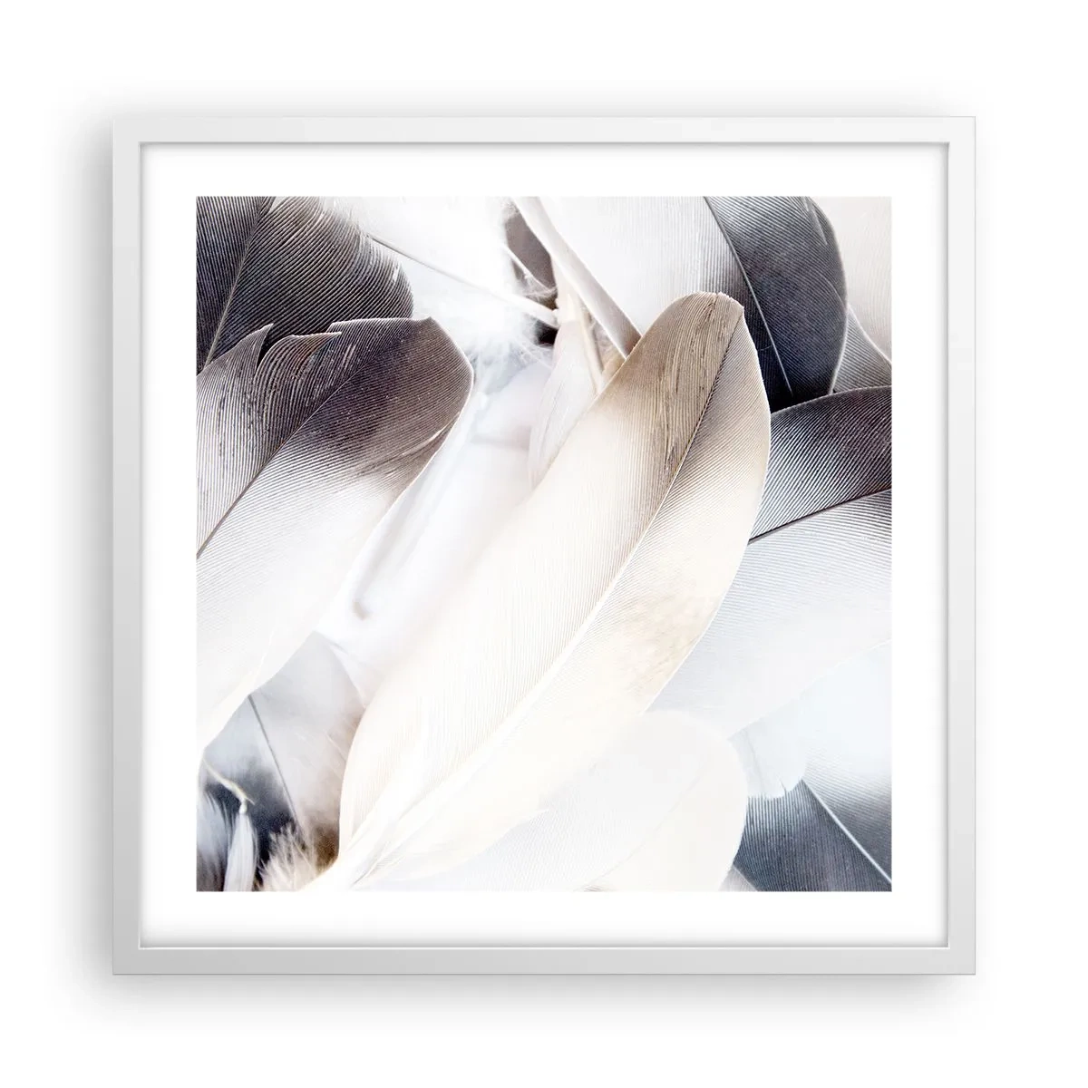 Plakát v bílém rámu - Téměř andělské - 50x50 cm