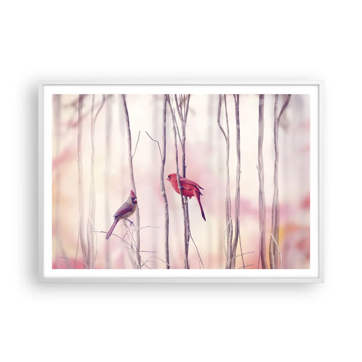 Plakát v bílém rámu - Příběh růžového lesa - 100x70 cm