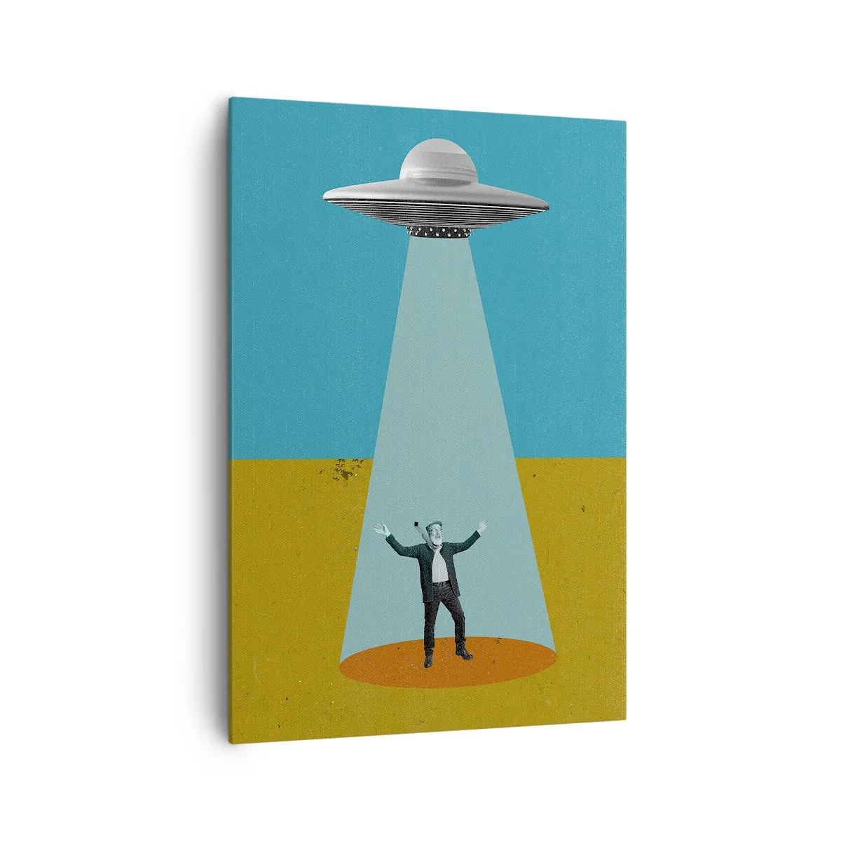 Obraz na plátně - Blízké setkání - 70x100 cm